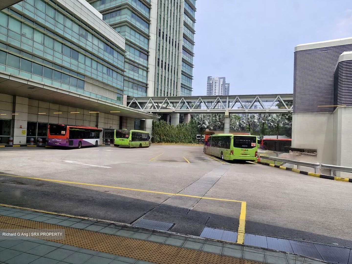 Lorong 8 Toa Payoh (D12), Condominium #444099171